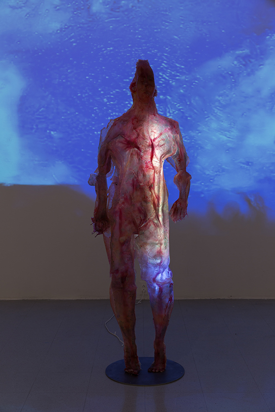 Thesis